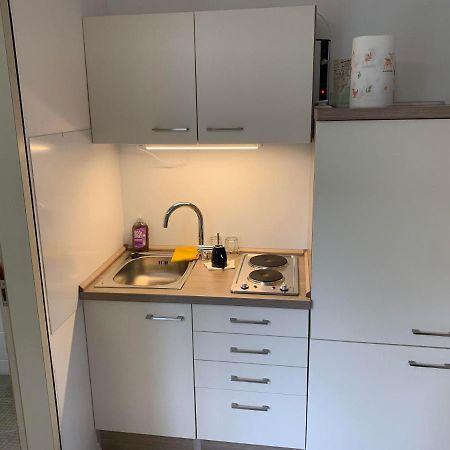 Kleines Einzimmer-Apartment 14 Бад-Вильдбад Экстерьер фото