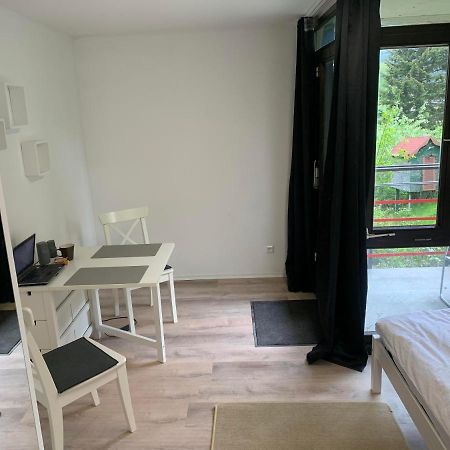 Kleines Einzimmer-Apartment 14 Бад-Вильдбад Экстерьер фото
