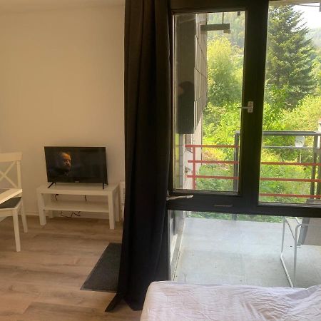 Kleines Einzimmer-Apartment 14 Бад-Вильдбад Экстерьер фото