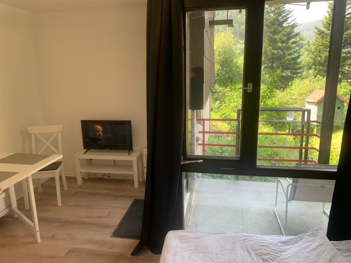 Kleines Einzimmer-Apartment 14 Бад-Вильдбад Экстерьер фото